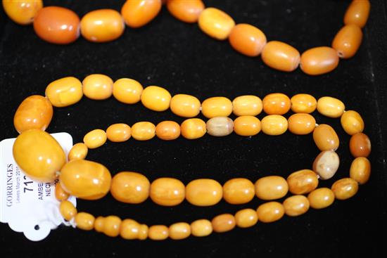 A single strand graduated amber bead necklace, 27.5in.